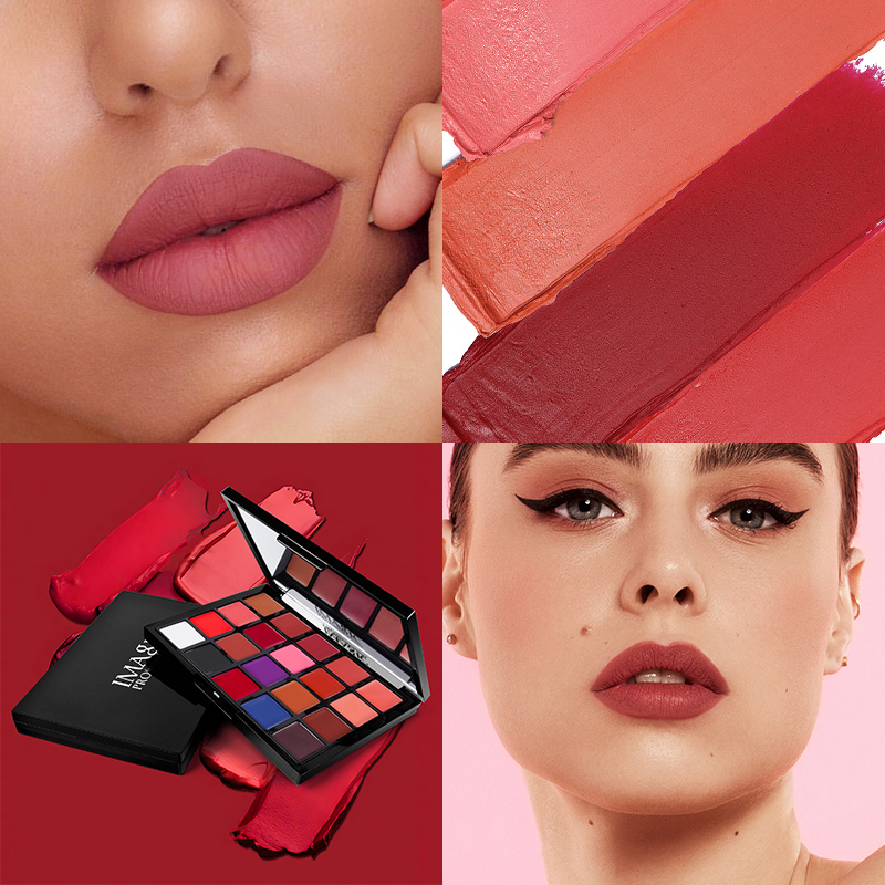 IMAGIC 20 Colors Lipstick Pale - Beauty Makeup Palette avis et prix